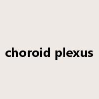 choroid plexus是什么意思