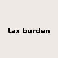 tax burden是什么意思