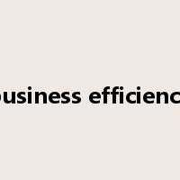 business efficiency是什么意思