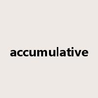 accumulative是什么意思