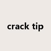 crack tip是什么意思