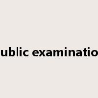 public examination是什么意思