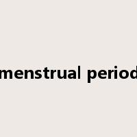 menstrual period是什么意思