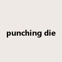 punching die是什么意思