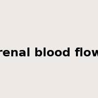 renal blood flow是什么意思