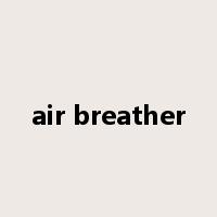 air breather是什么意思