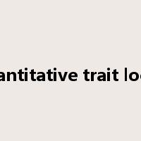 quantitative trait locus是什么意思