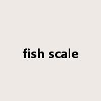 fish scale是什么意思