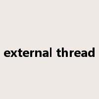 external thread是什么意思