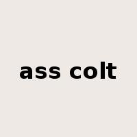 ass colt是什么意思