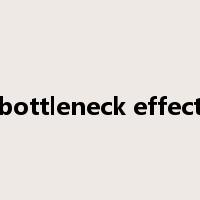 bottleneck effect是什么意思
