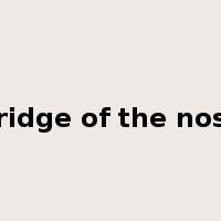 bridge of the nose是什么意思