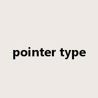 pointer type是什么意思