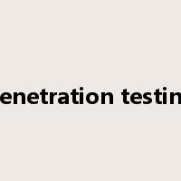 penetration testing是什么意思
