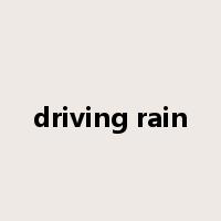 driving rain是什么意思