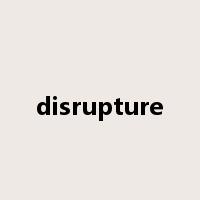 disrupture是什么意思