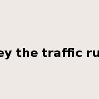 obey the traffic rules是什么意思