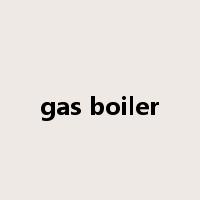 gas boiler是什么意思