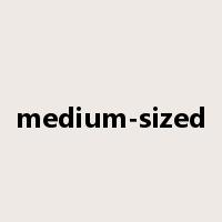 medium-sized是什么意思