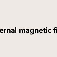 external magnetic field是什么意思