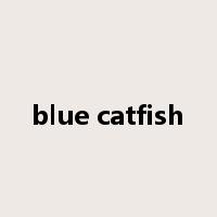 blue catfish是什么意思