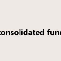 consolidated fund是什么意思