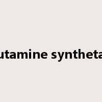 glutamine synthetase是什么意思