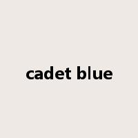 cadet blue是什么意思
