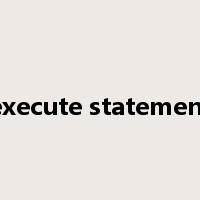 execute statement是什么意思