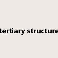 tertiary structure是什么意思