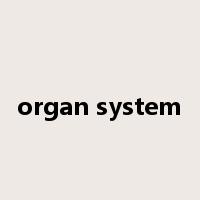 organ system是什么意思