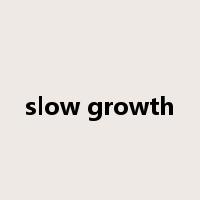 slow growth是什么意思