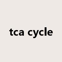 tca cycle是什么意思