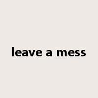 leave a mess是什么意思