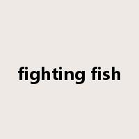 fighting fish是什么意思