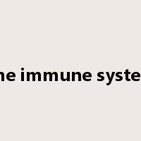 The immune system是什么意思