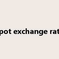 spot exchange rate是什么意思
