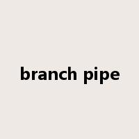 branch pipe是什么意思