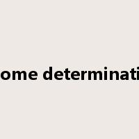 income determination是什么意思