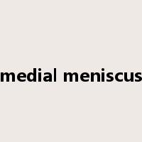 medial meniscus是什么意思