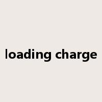 loading charge是什么意思