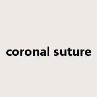 coronal suture是什么意思