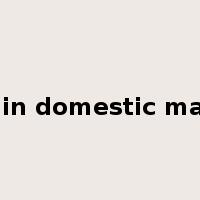 sale in domestic market是什么意思