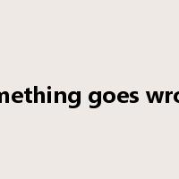 something goes wrong是什么意思