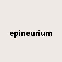 epineurium是什么意思