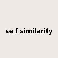 self similarity是什么意思