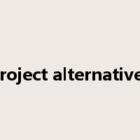 project alternatives是什么意思