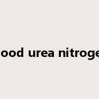 blood urea nitrogen是什么意思