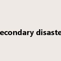 secondary disaster是什么意思