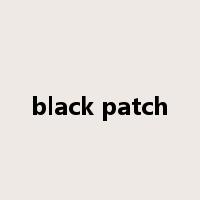 black patch是什么意思